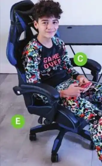 Giant Tiger Gaming Chair offer