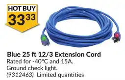 Princess Auto Blue 25 ft 12/3 Extension Cord offer