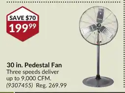 Princess Auto 30 in. Pedestal Fan offer