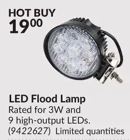 Princess Auto LED Flood Lamp offer