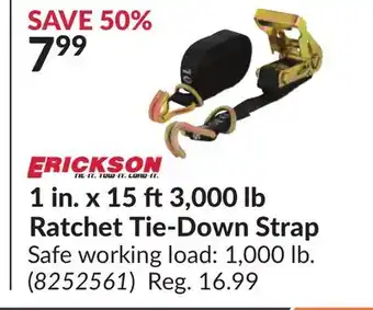 Princess Auto 1 in. x 15 ft3,000 lb Ratchet Tie-Down Strap offer