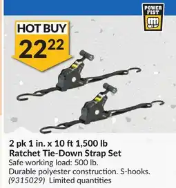 Princess Auto Ratchet Tie-Down Strap Set offer