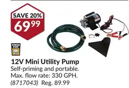 Princess Auto 12V Mini Utility Pump offer
