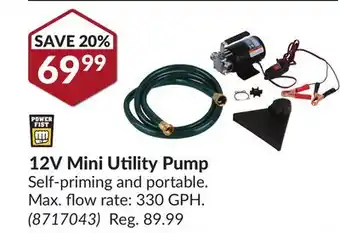 Princess Auto 12V Mini Utility Pump offer
