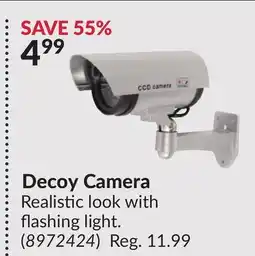 Princess Auto Decoy Camera offer