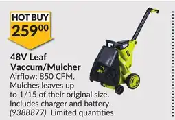 Princess Auto 48V Leaf Vaccum/Mulcher offer