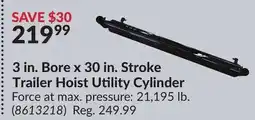 Princess Auto 3 in. Bore x 30 in. Stroke Trailer Hoist offer