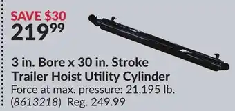 Princess Auto 3 in. Bore x 30 in. Stroke Trailer Hoist offer