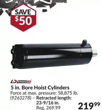 Princess Auto 5 in. Bore Hoist Cylinders offer