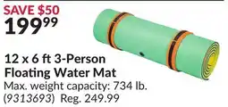 Princess Auto 12 x 6 ft3-Person Floating Water Mat offer