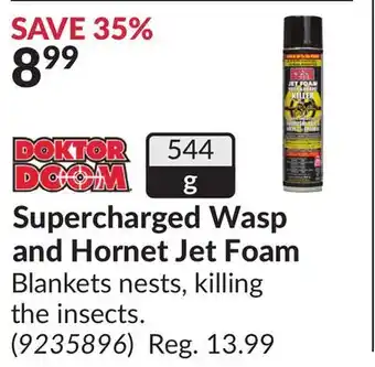 Princess Auto Supercharged Wasp and Hornet Jet Foam offer