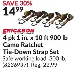 Princess Auto Camo Ratchet Tie-Down Strap Set offer