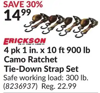 Princess Auto Camo Ratchet Tie-Down Strap Set offer