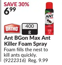 Princess Auto Ant BGon Max Ant Killer Foam Spray offer