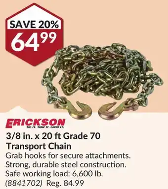 Princess Auto 3/8 in. x 20 ft Grade 70 Transport Chain hooks offer