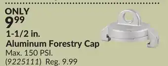 Princess Auto 1-1/2 in. Aluminum Forestry Cap offer
