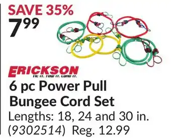 Princess Auto 6 pc Power Pull Bungee Cord Set offer