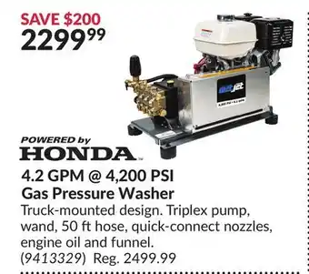 Princess Auto 4.2 GPM @ 4,200 PSI Gas Pressure Washer offer