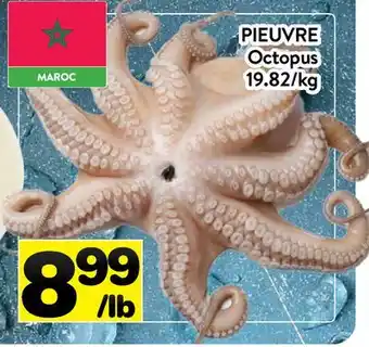 Supermarché PA PIEUVRE | OCTOPUS offer