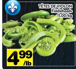 Supermarché PA TÊTES DE VIOLON | FIDDLEHEADS offer
