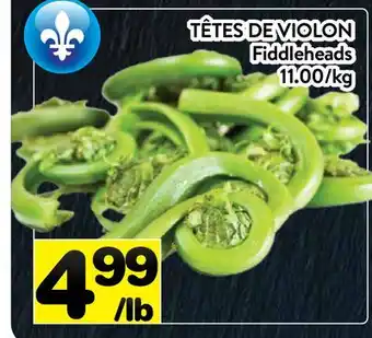 Supermarché PA TÊTES DE VIOLON | FIDDLEHEADS offer