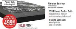 The Brick Springwall Florence Eurotop Luxury Firm Twin Mattress offer