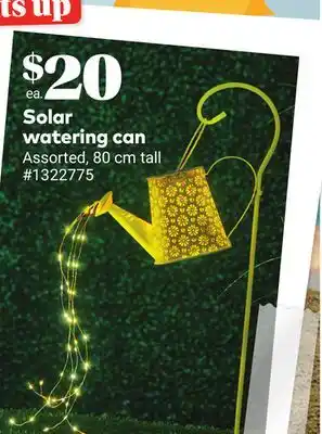 Giant Tiger Solar watering can offer