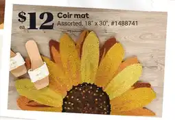 Giant Tiger Coir mat offer