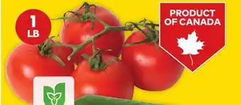 Giant Tiger 1 lb tomatoes on the vine offer