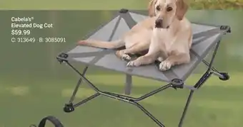 Cabela's Cabela's Elevated Dog Cot offer