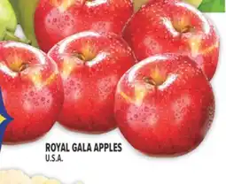 Marché Adonis ROYAL GALA APPLES offer
