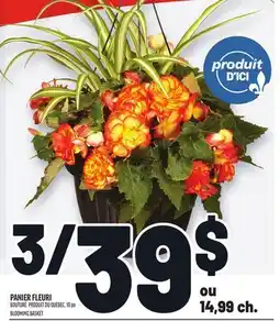 Metro PANIER FLEURI | BLOOMING BASKET offer