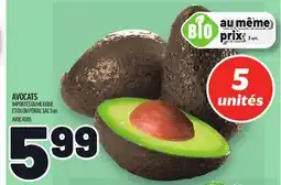 Metro AVOCATS | AVOCADOS offer