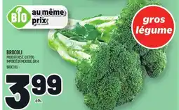 Metro BROCOLI | BROCCOLI offer