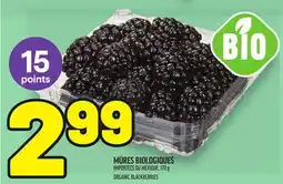 Metro MÛRES BIOLOGIQUES | ORGANIC BLACKBERRIES offer