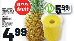 Metro GROS ANANAS TROPICAL GOLD OU ANANAS DÉCORTIQUÉ | TROPICAL GOLD LARGE PINEAPPLE OR CORED PINEAPPLE offer