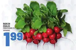Metro RADIS EN FEUILLES | TOP RADISHES offer