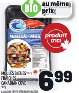 Metro MOULES BLEUES FRAÎCHES CANADIAN COVE | CANADIAN COVE FRESH BLUE MUSSELS offer