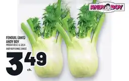 Metro FENOUIL (ANIS) ANDY BOY | ANDY BOY FENNEL (ANISE) offer