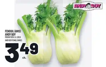 Metro FENOUIL (ANIS) ANDY BOY | ANDY BOY FENNEL (ANISE) offer