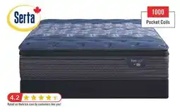 The Brick Serta Back Logic 3.0 Eurotop Plush Queen Mattress offer