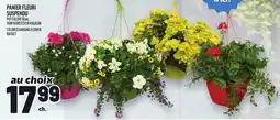 Metro PANIER FLEURI SUSPENDU | COLORED HANGING FLOWER BASKET offer
