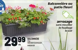 Metro BALCONNIÈRE | WINDOW BOX offer