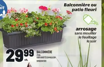 Metro BALCONNIÈRE | WINDOW BOX offer