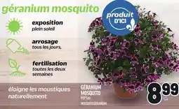 Metro GÉRANIUM MOSQUITO | MOSQUITO GERANIUM offer