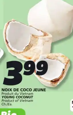 IGA YOUNG COCONUT offer