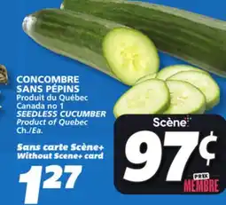 IGA SEEDLESS CUCUMBER offer
