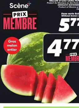IGA SEEDLESS WATERMELON offer