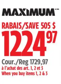 Canadian Tire Maximum Cabinet offer