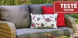 Canadian Tire Loveseat offer